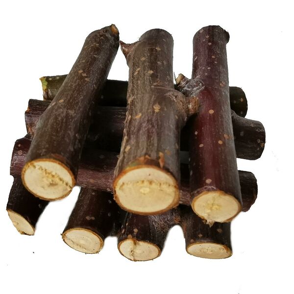 Веточки яблони