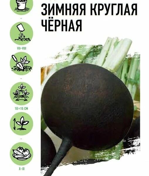 Семена Редька Черная зимняя круглая ТМ Удачные семена