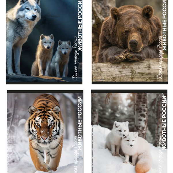 Тетрадь Centrum Животные России в клетку на скобе А5, 96 л в ассортименте 1 шт