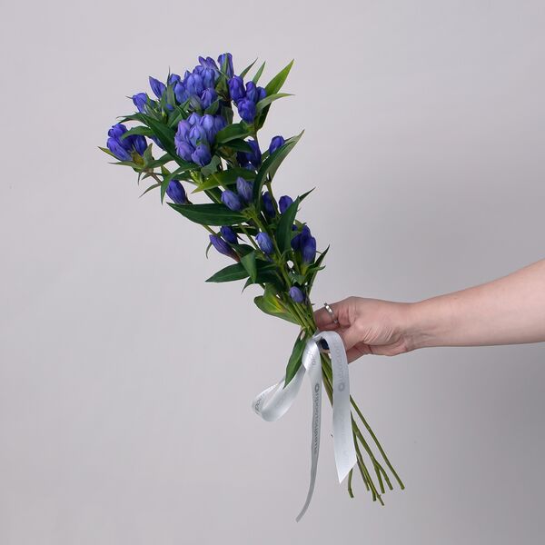 Букет цветов из Гентиана 