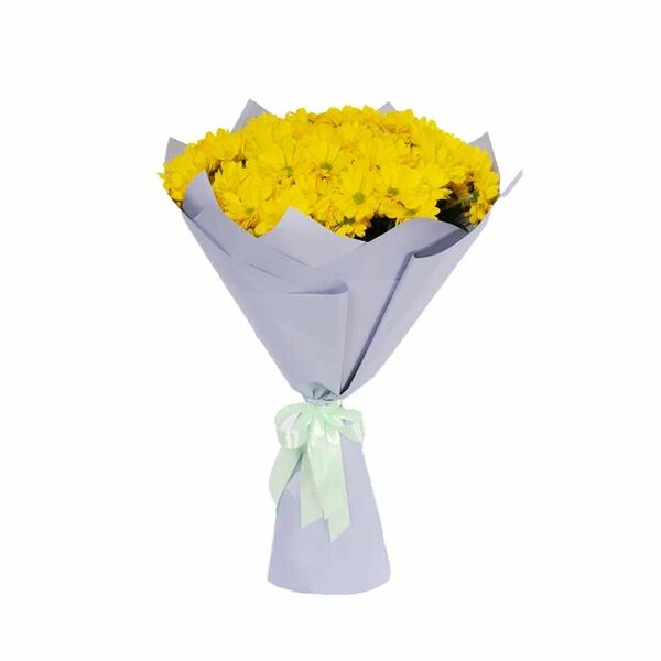 15 кустовых желтых хризантем