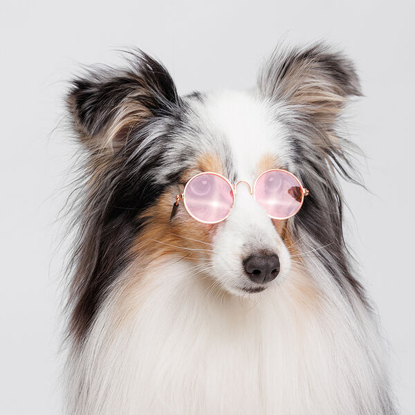 Очки солнечные для собак и кошек, розовые