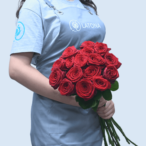 Красные розы 15 штук