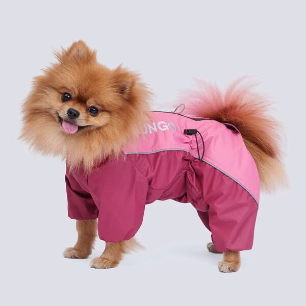 Rungo Дождевик Шпиц девочка десертная роза