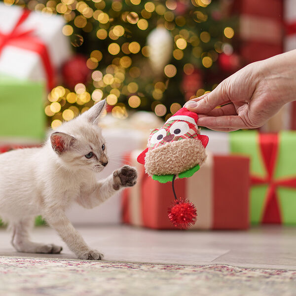 Игрушка для кошек NEW YEAR Сова