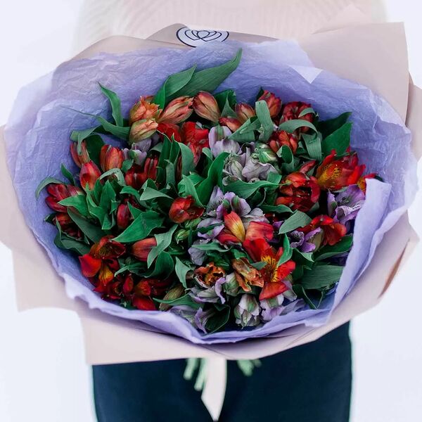 Букет из 25 альстромерий в красных и фиолетовых тонах
