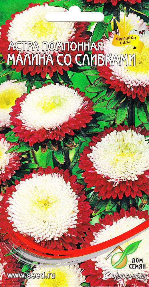 

Семена Дом семня Астра помпонная Малина со сливками 0.3 г