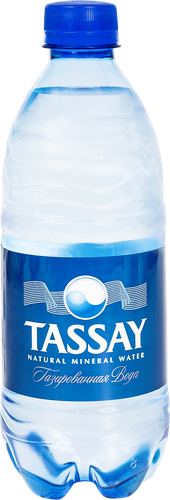 

Вода минеральная Tassay природная питьевая газированная 0.5 л