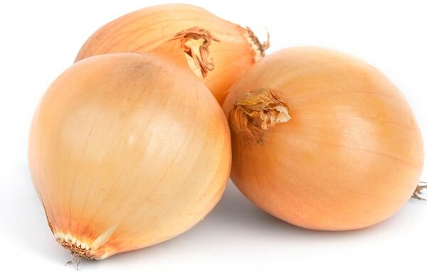 Лук-репка в сетке