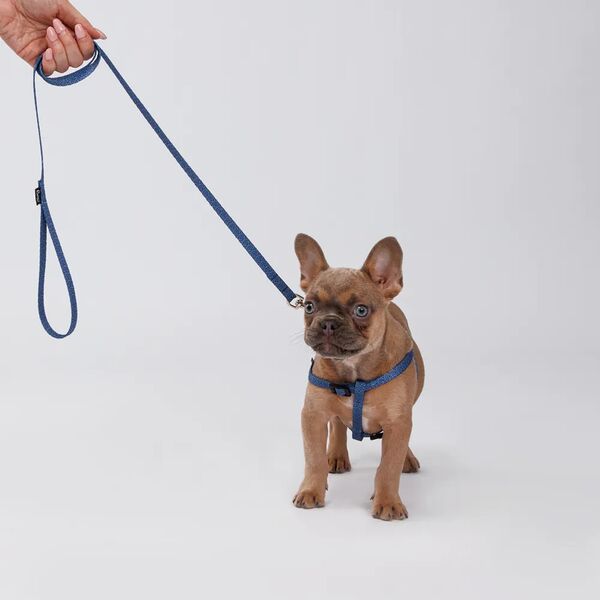 Поводок нейлоновый для собак и кошек Синяя чешуя, 1х120 см