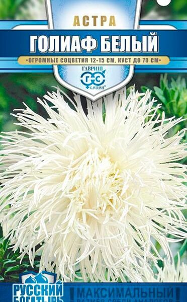 Семена Гавриш Астра Голиаф Белый Однолетняя Игольчатая 0.3г