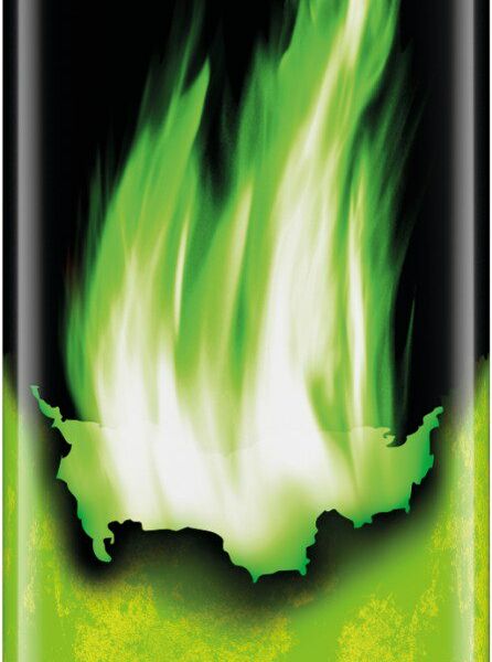 Энергетический напиток Burn Яблоко-Киви 449 мл