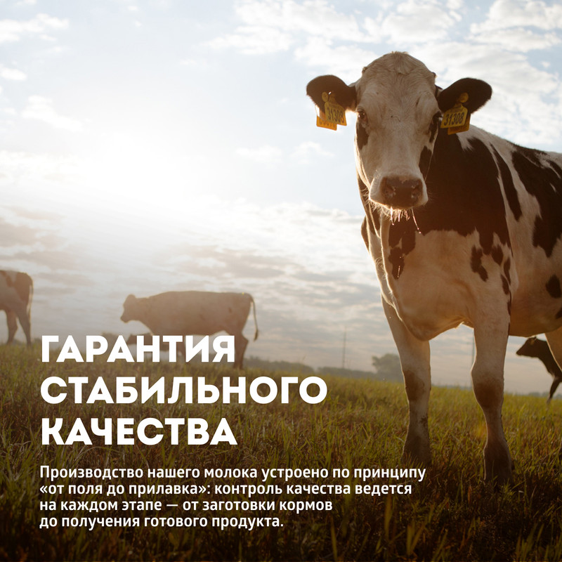 

Молоко ЭкоНива ультрапастеризованное 3.2% 1 л