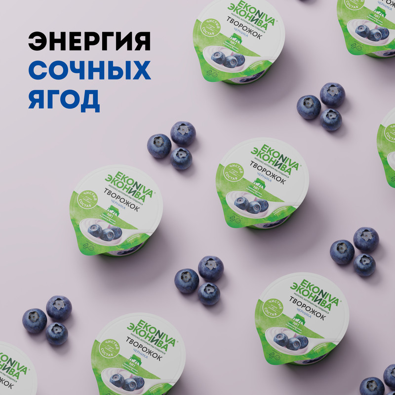 

Творожок ЭкоНива с черникой 5% 125 г