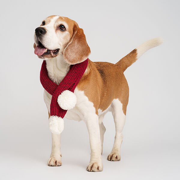 Шарф Rurri красный