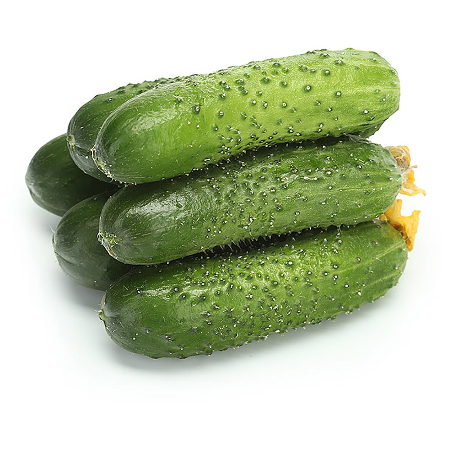 

Огурцы короткоплодные вес