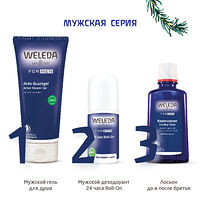 Изображение 9