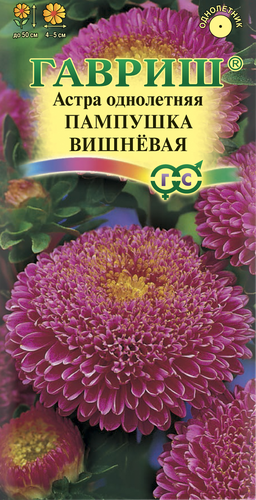 

Семена ГАВРИШ Астра однолетняя помпонная Пампушка вишневая, Арт. 10006540, 0,3г