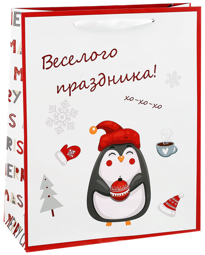 

Пакет подарочный в ассортименте