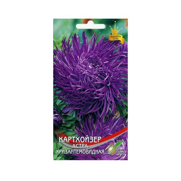 Семена Астра хризантемовидная Картхойзер