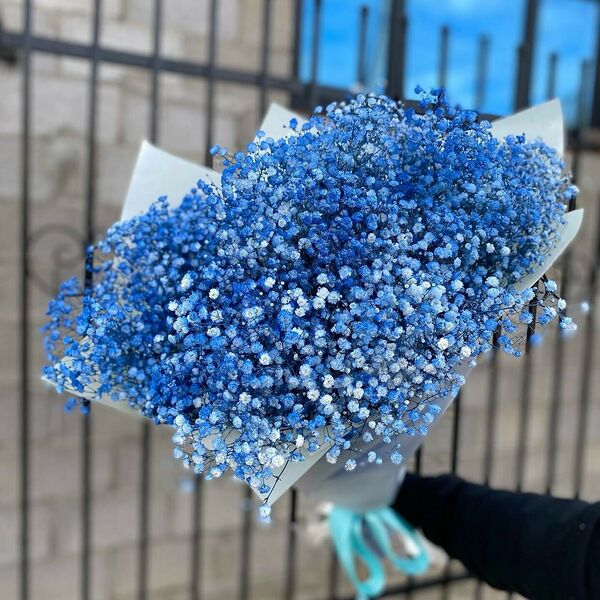 Букет из синей гипсофилы