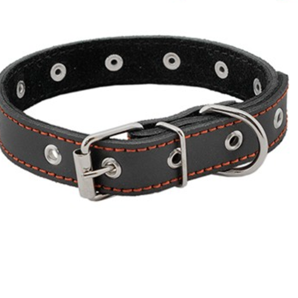 HOMEPET ошейник для собак кожаный двойной с украшениями простроченный двухслойный 28-38 см., Черный