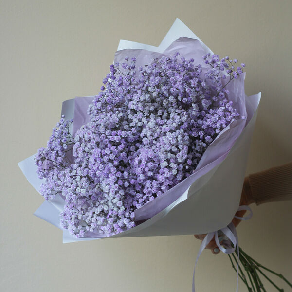 Монобукет из гипсофилы