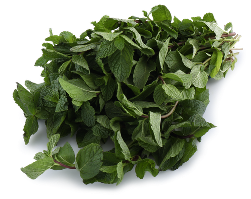 

Мята свежая вес