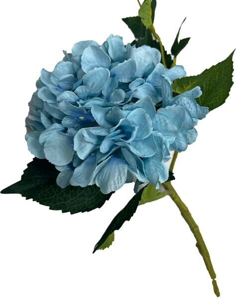 Гортензия голубая 35см