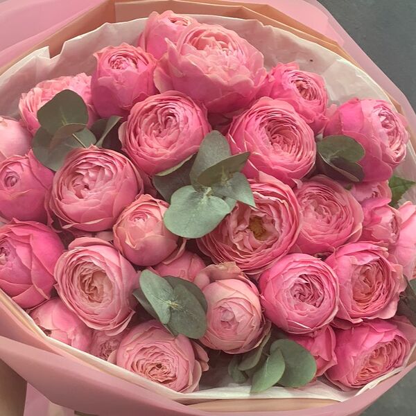 15 кустовых роз