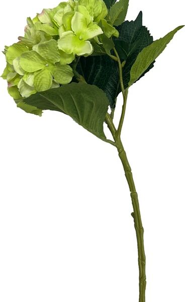 Гортензия зеленая 35см