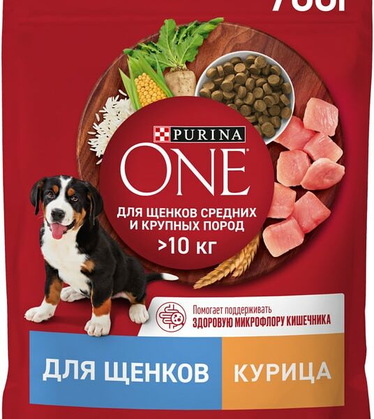 Сухой корм для щенков Purina ONE для средних и крупных пород с курицей и рисом 700г