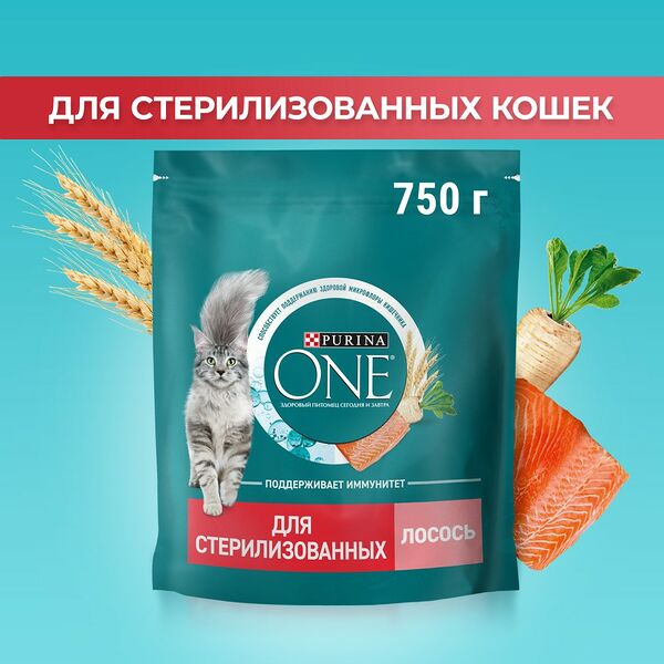 Сухой корм Purina ONE® для стерилизованных кошек и кастрированных котов, с высоким содержанием лосося и пшеницей, Пакет, 750 г