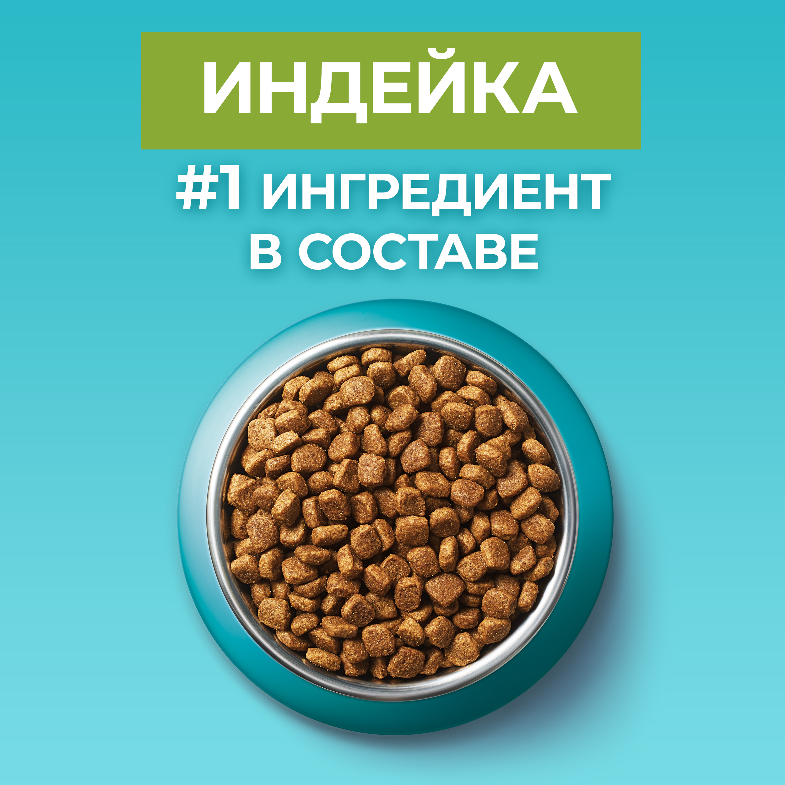 

Сухой корм Purina One для взрослых кошек с чувствительным пищеварением и разборчивым вкусом в еде с высоким содержанием индейки и рисом пакет 200 г