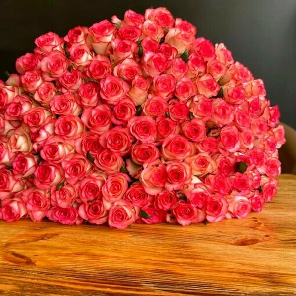 Букет из 101 бело-розовой розы