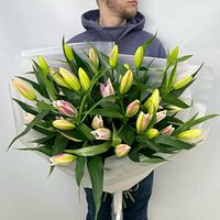 Изображение 5