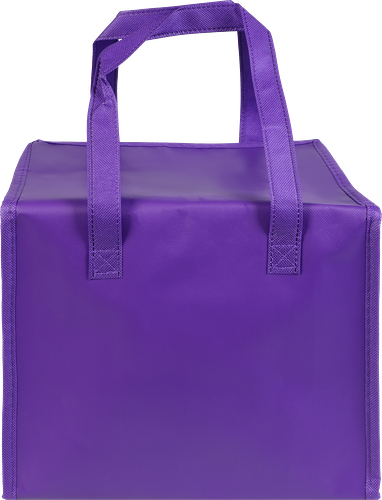 Термосумка Actiwell 10л, Арт. GV8816-55