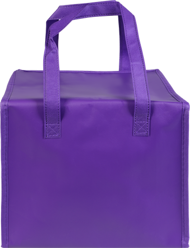 

Термосумка Actiwell 10л, Арт. GV8816-55 цвет в ассортименте