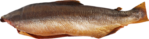 

Горбуша Океан балык х/к вес