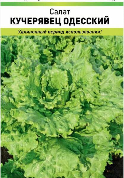 Семена Русский огород Салат Кучерявец Одесский 1г