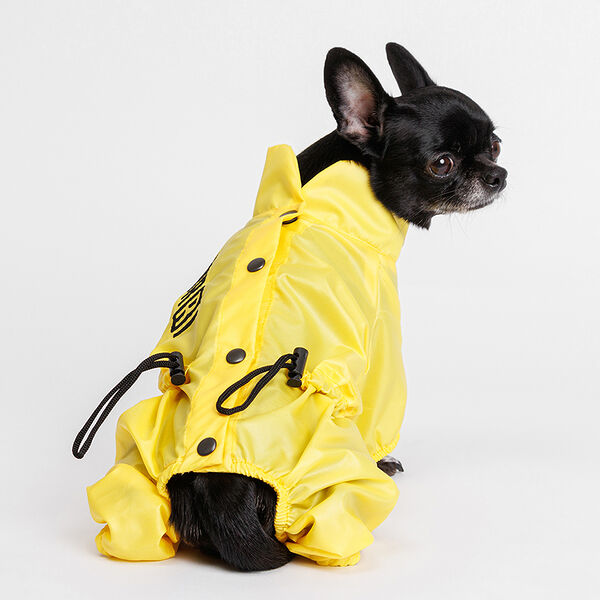 Дождевик для собак S желтый (девочка)