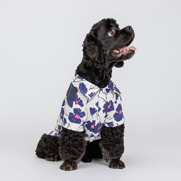 Футболка Petmax с синими цветами 4XL