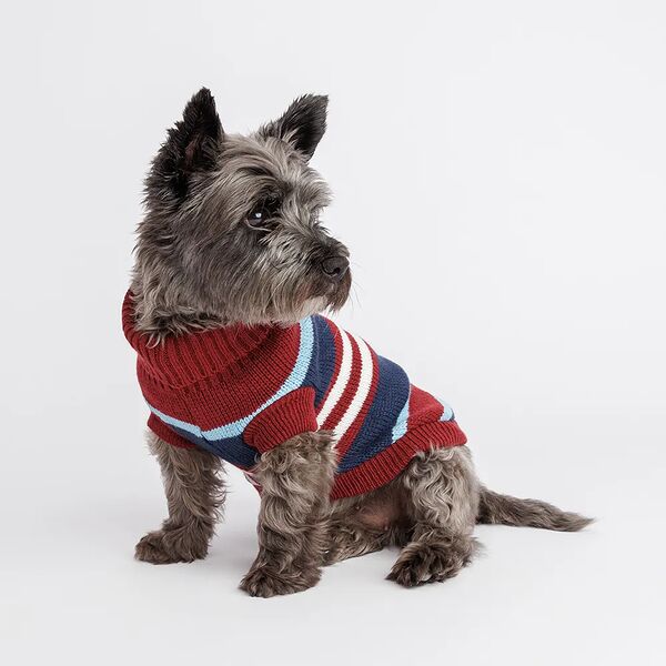 Свитер полосатый для собак, Petmax 34-36 см, бордовый