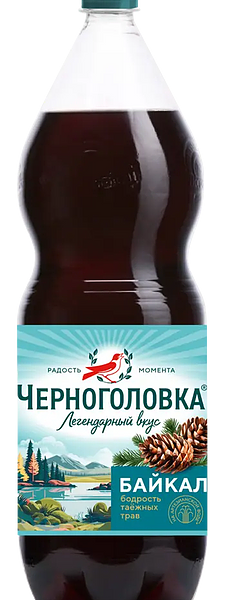 Напиток Черноголовка Байкал сильногазированный 2 л