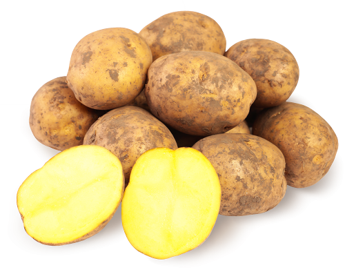Картофель Белорусский весовой