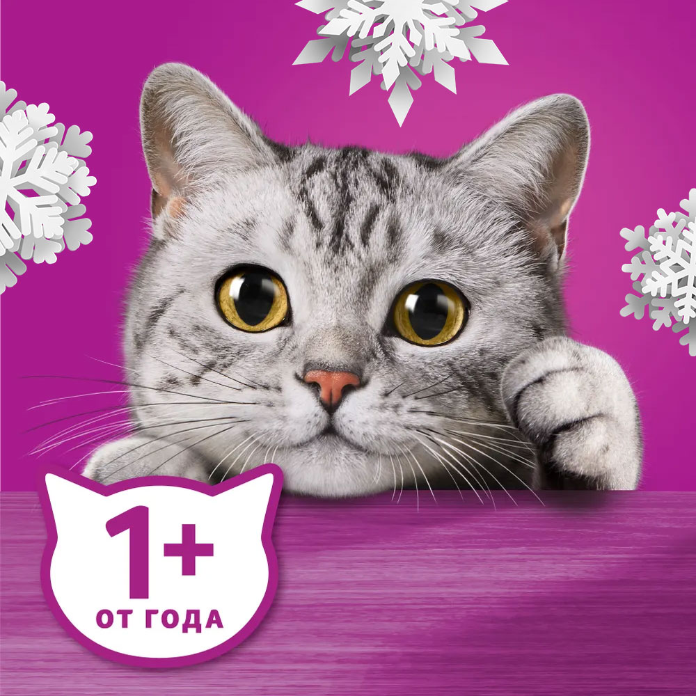 

Влажный корм Whiskas Волшебное меню для кошек, с говядиной в соусе 75 г