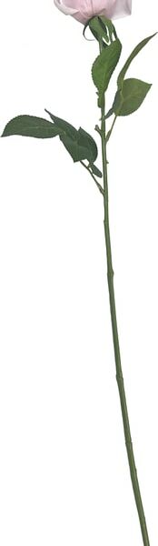 Роза розовая 64см