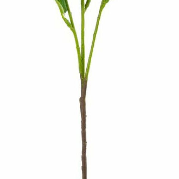 Цветок искусственный Decoland Чертополох светло-розовый, 57 см