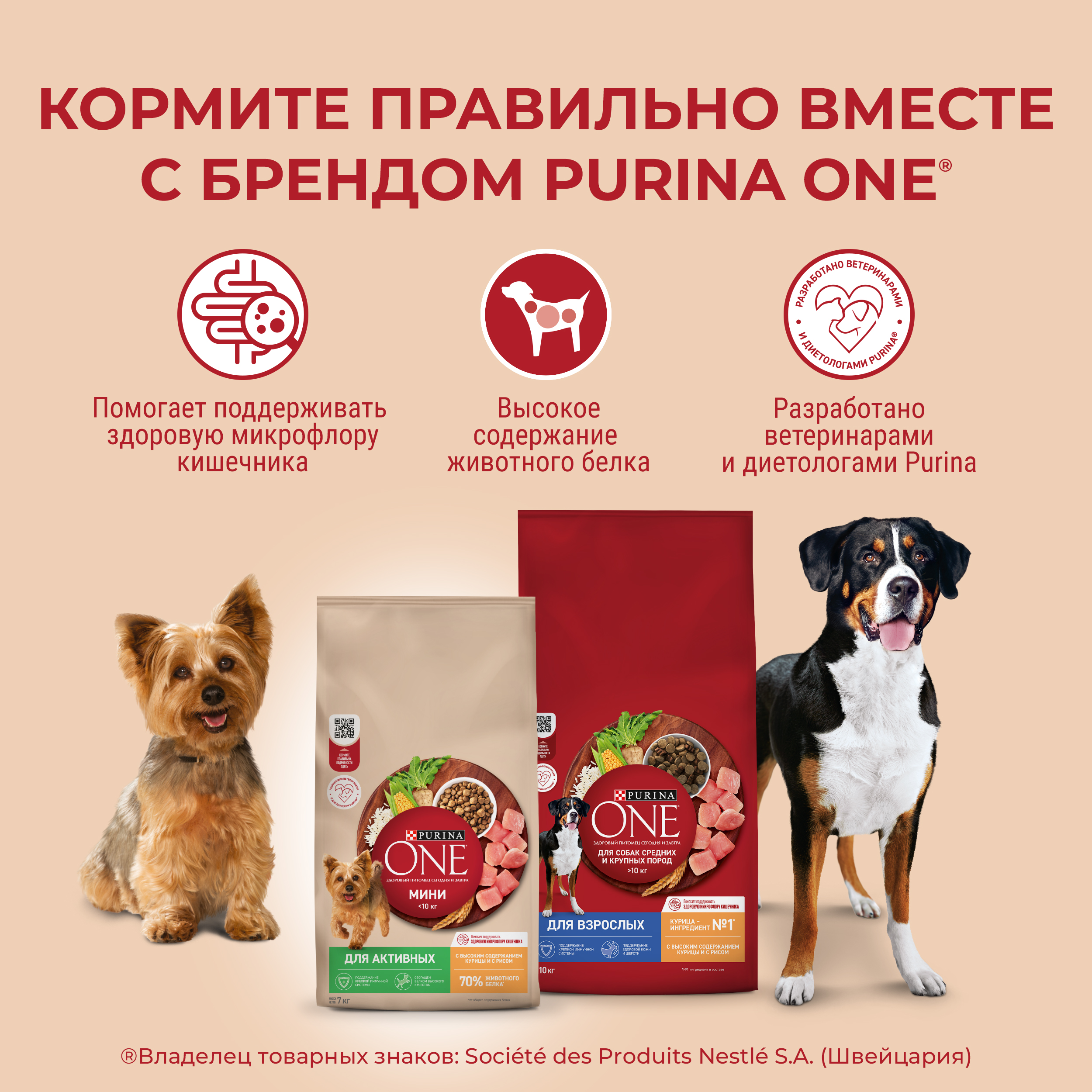 

Сухой корм Purina One для собак мелких пород с активным образом жизни, с высоким содержанием курицы и с рисом, 3 кг