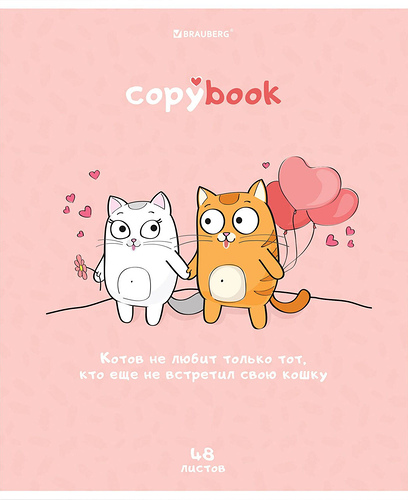 Тетрадь Brauberg Кот-энтузиаст, А5, 48 листов, на скобе, в клетку, Арт. 404365, в ассортименте
